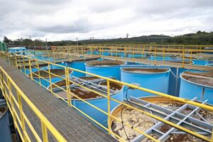 Divulgação | Governo do Estado de SP