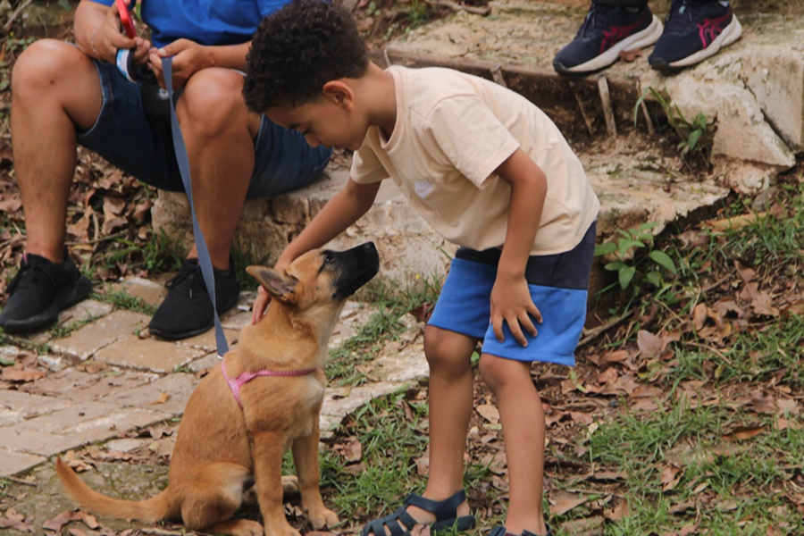 Antonia Alves | Secom | PMTS