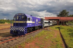 Adonai Arruda Filho | Divulgação