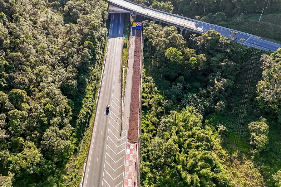 Divulgação | Arteris