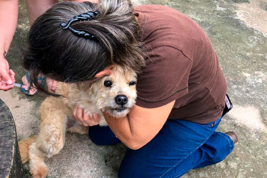 Ignorar também é abandonar