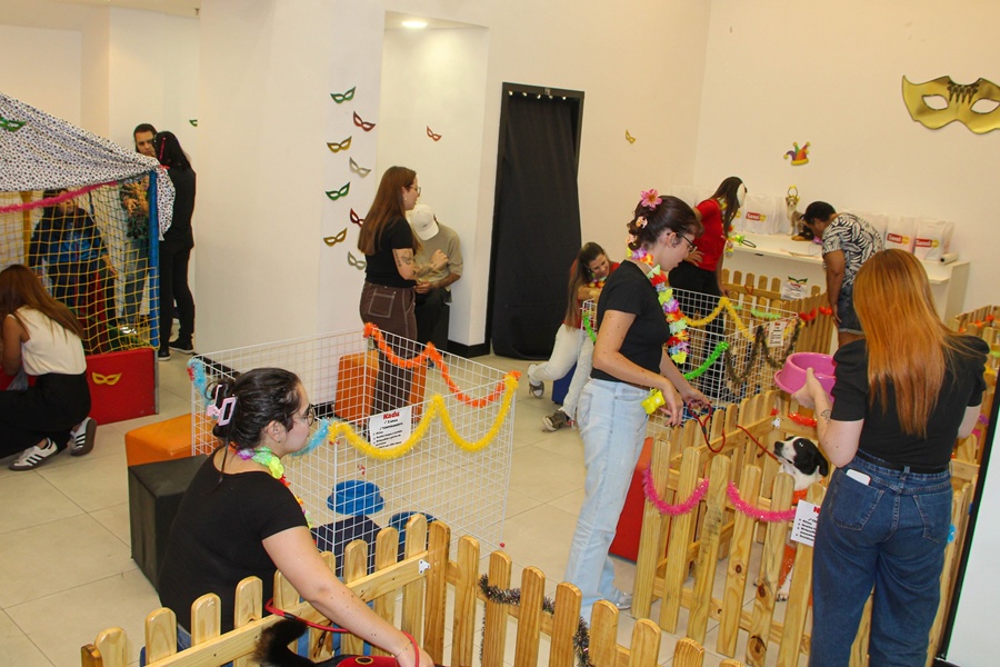 Antonia Alves| Secom | PMTS