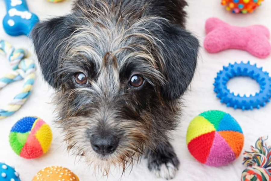 Divulgação | Patre