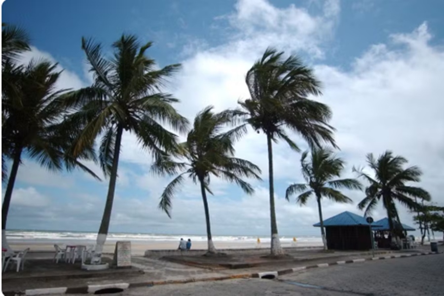 Reprodução | Internet