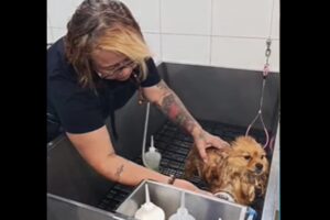 Reprodução | Redes Sociais