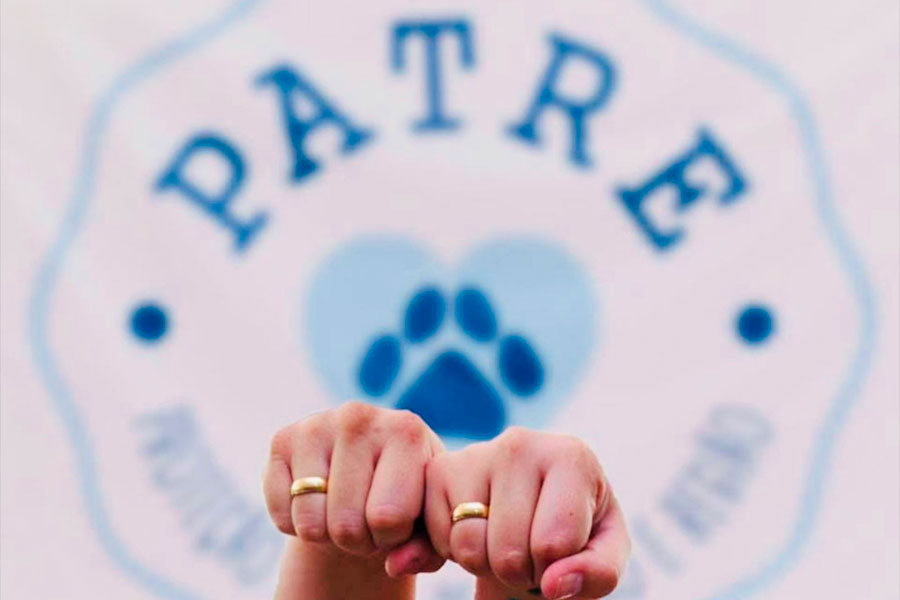 Homofobia, Violência e Causa Animal: o que Essas Lutas Têm em Comum?