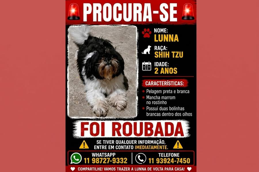 Divulgação