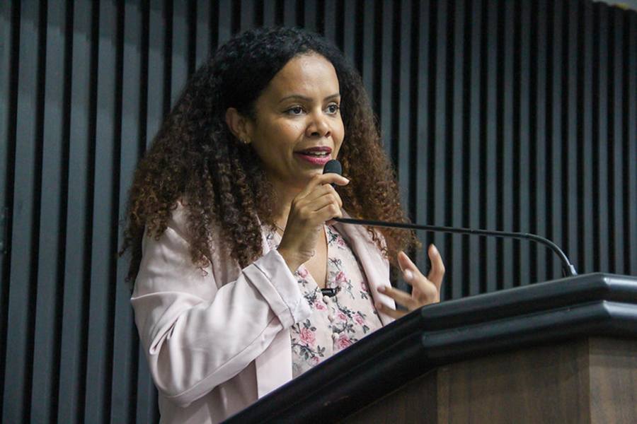 Câmara aprova projeto que autoriza reconhecimento de Festival Graffiti Contra Enchente como patrimônio de Taboão da Serra