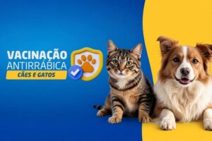 Reprodução | PMEA