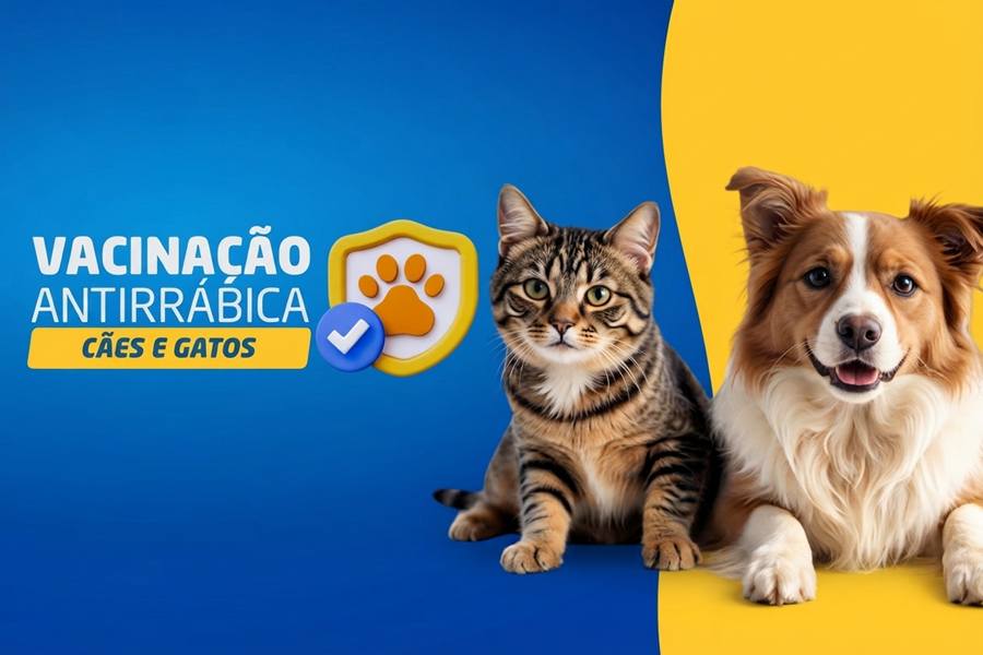Reprodução | PMEA