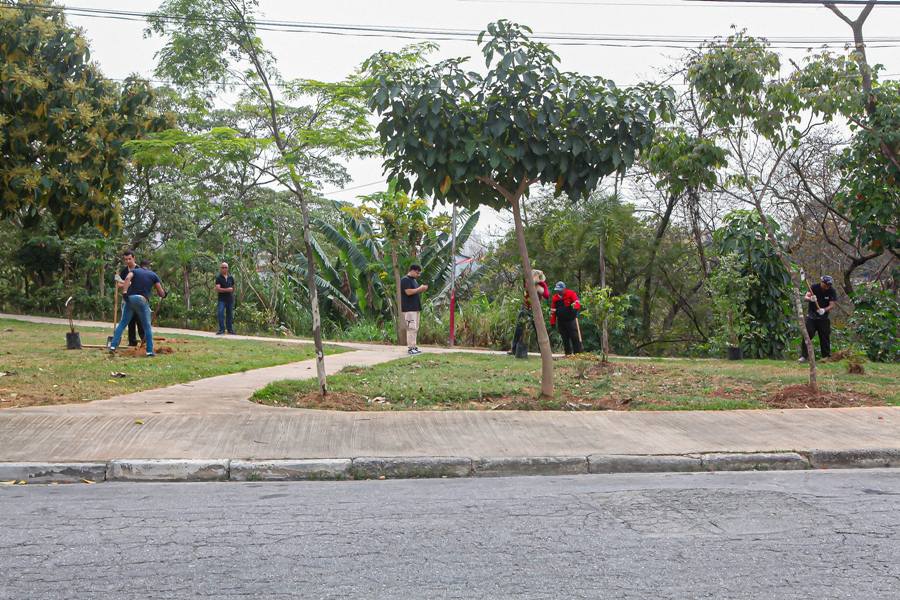 Divulgação | PMTS