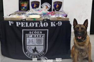 Divulgação | PMESP