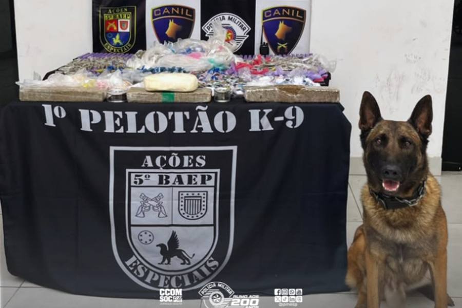 Divulgação | PMESP