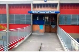 Reprodução | Google