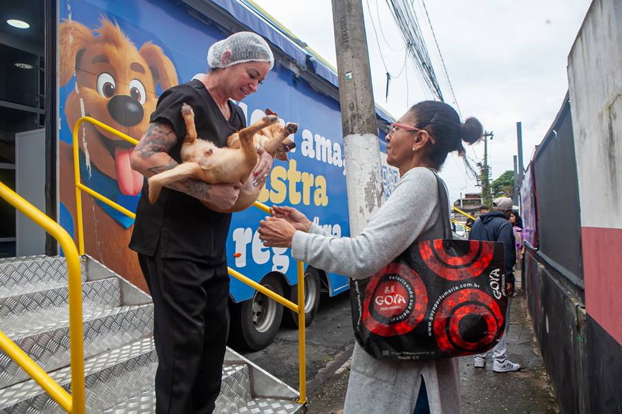 Taboão da Serra castra 300 animais de graça em mutirão no Parque São Joaquim